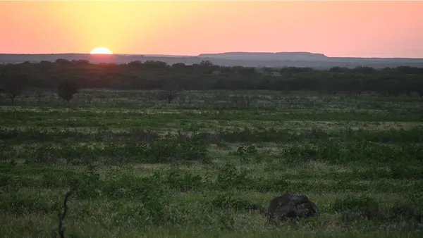 a view of a lush green hillside and a building