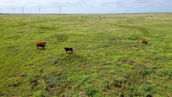 a view of a green yard