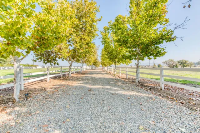 a view of a yard with wooden fence