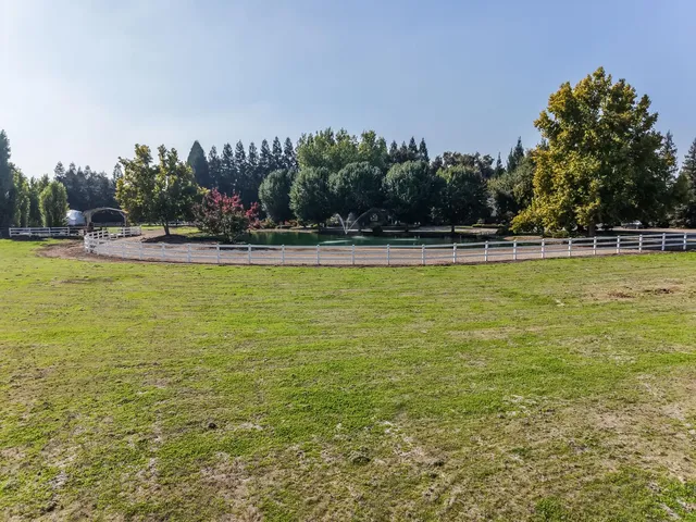 a view of yard with green space
