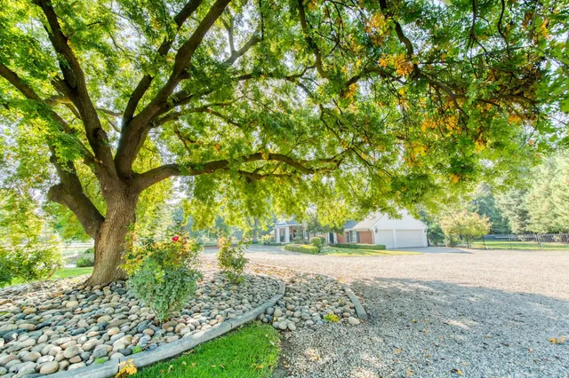 a front view of house with yard and green space
