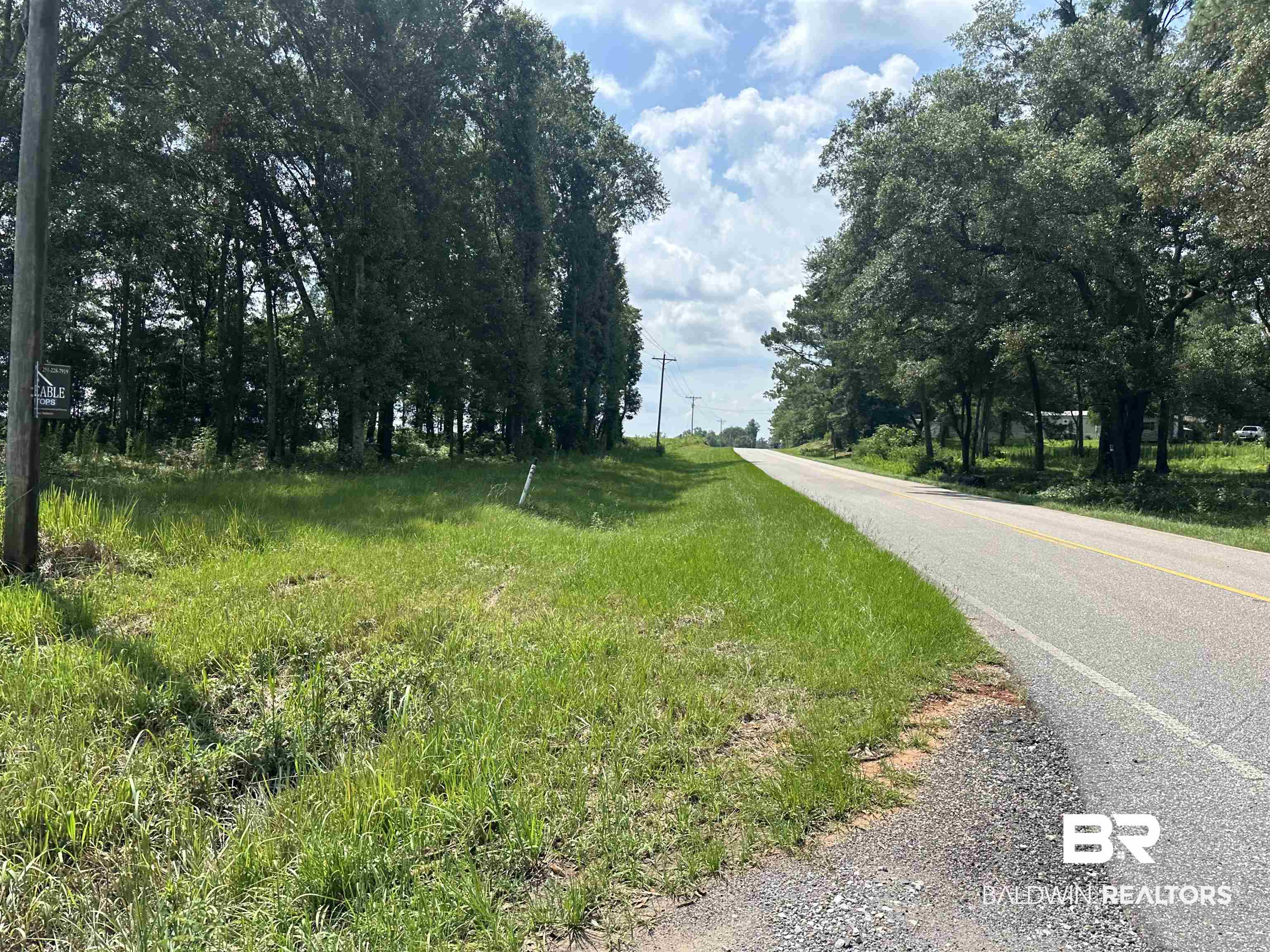 62 North County Road Robertsdale, AL 36567 - Photo 2 of 7 Gallery Image 2