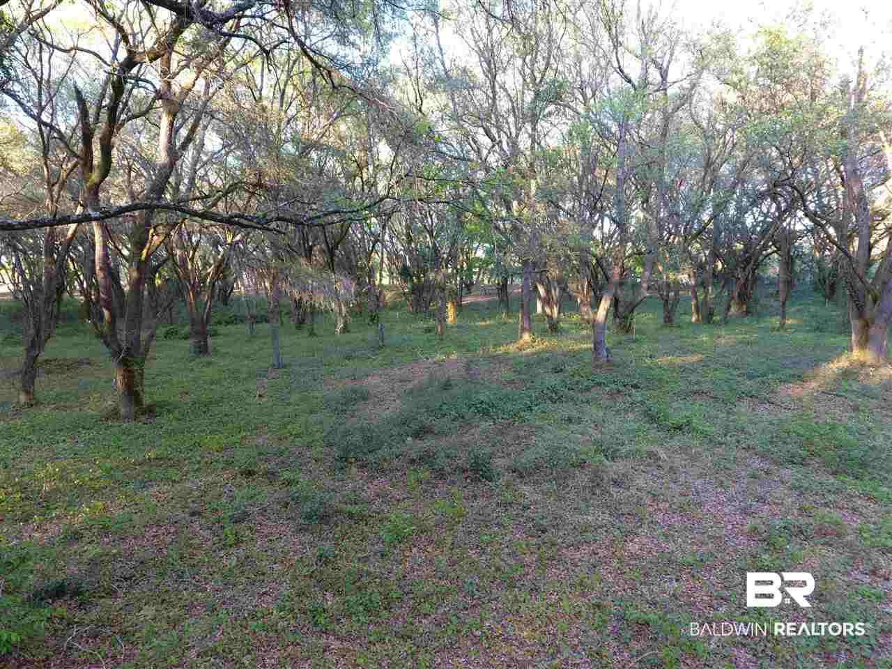 9690 Sherman Road Foley, AL 36535 - Photo 5 of 19