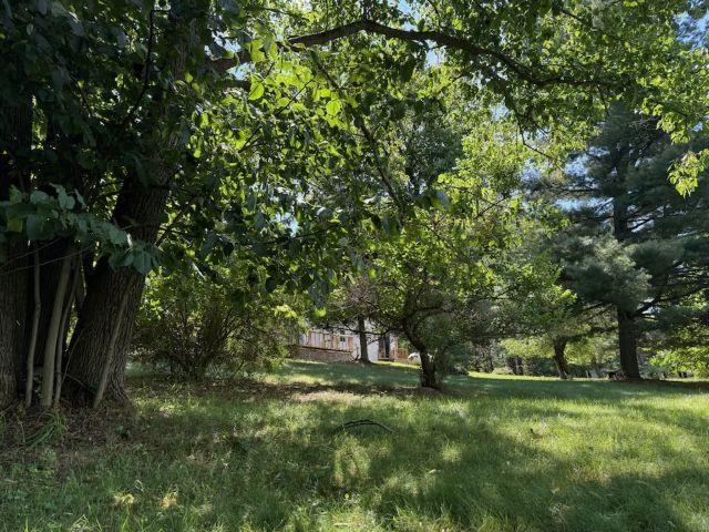5651 North Seeley Road Manton, MI 49663 - Photo 6 of 49