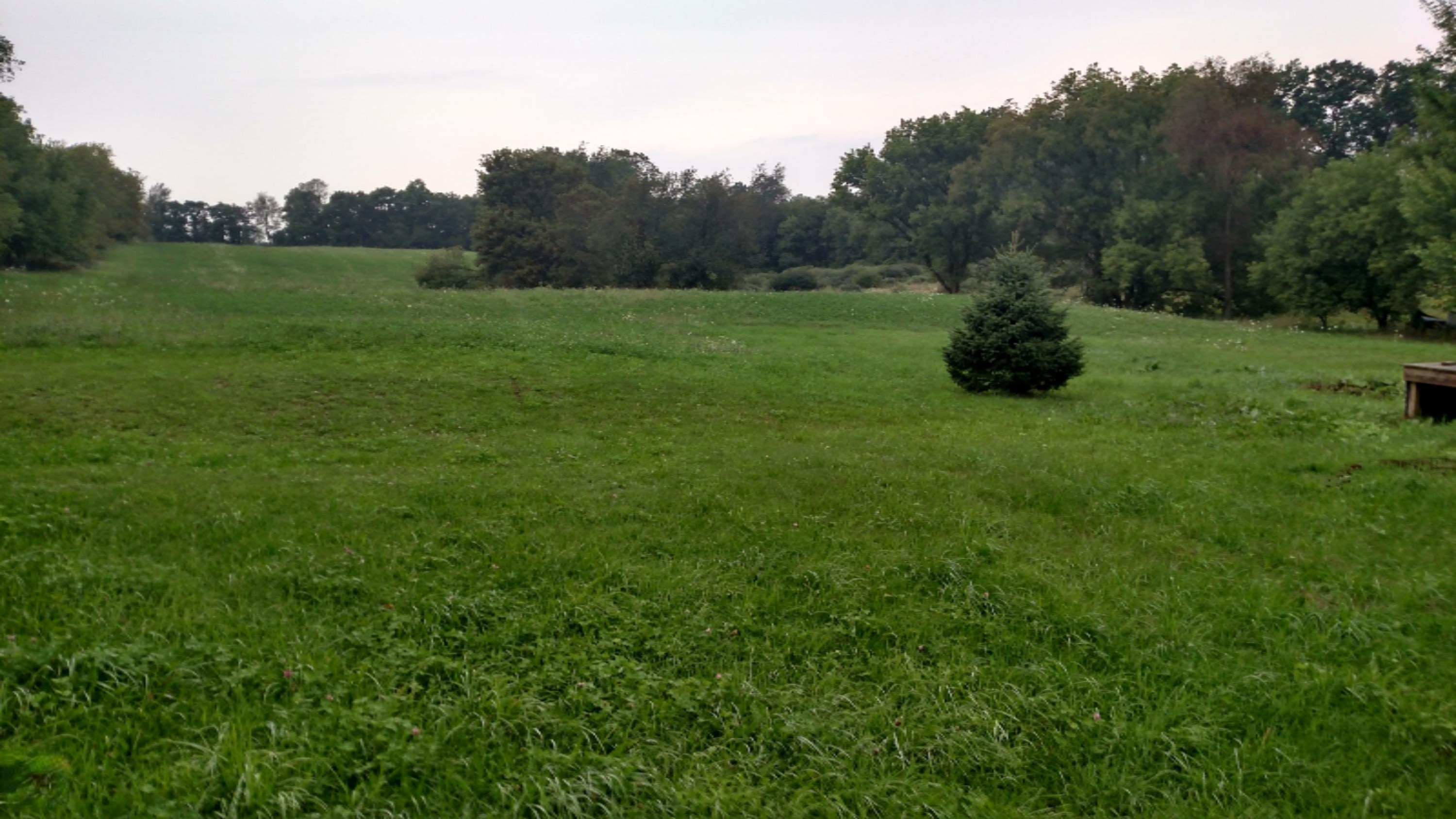 11660 South Sheridan Road Fenwick, MI 48834 - Photo 3 of 21 IMG_20150908_174252532_HDR