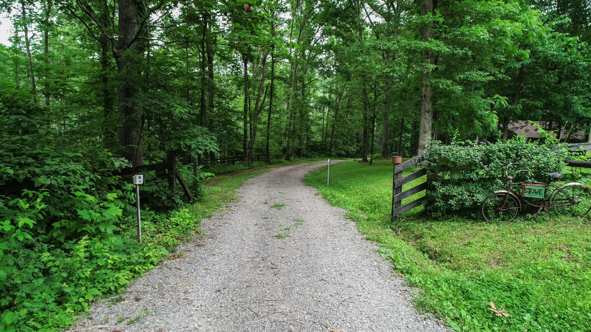 7715 Fernvale Road Fairview, TN 37062 - Photo 45 of 46 a view of a yard with plants and a large tree