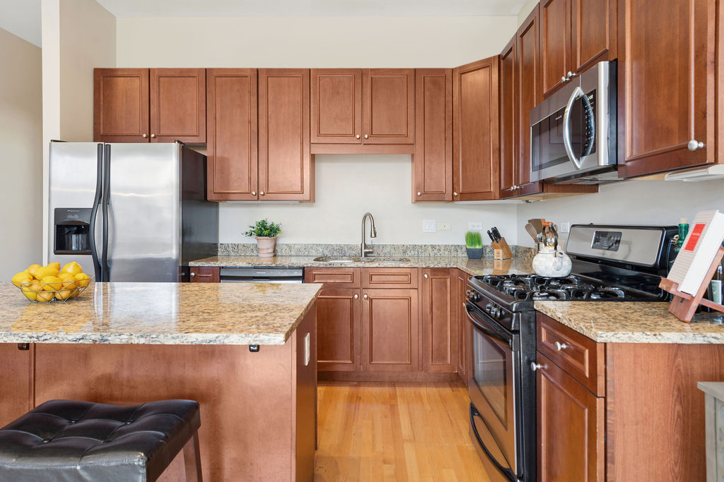 2242 West Roscoe Street, Unit 3 Chicago, IL 60618 - Photo 3 of 16