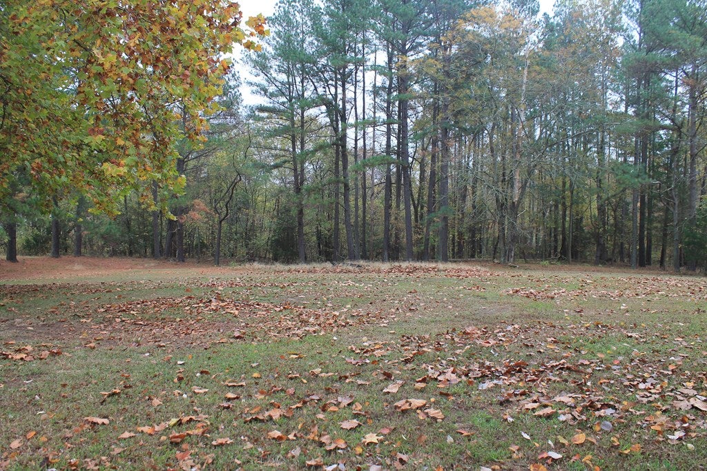 2972 Lockett Road Rice, VA 23966 - Photo 21 of 30 Gallery Image 21