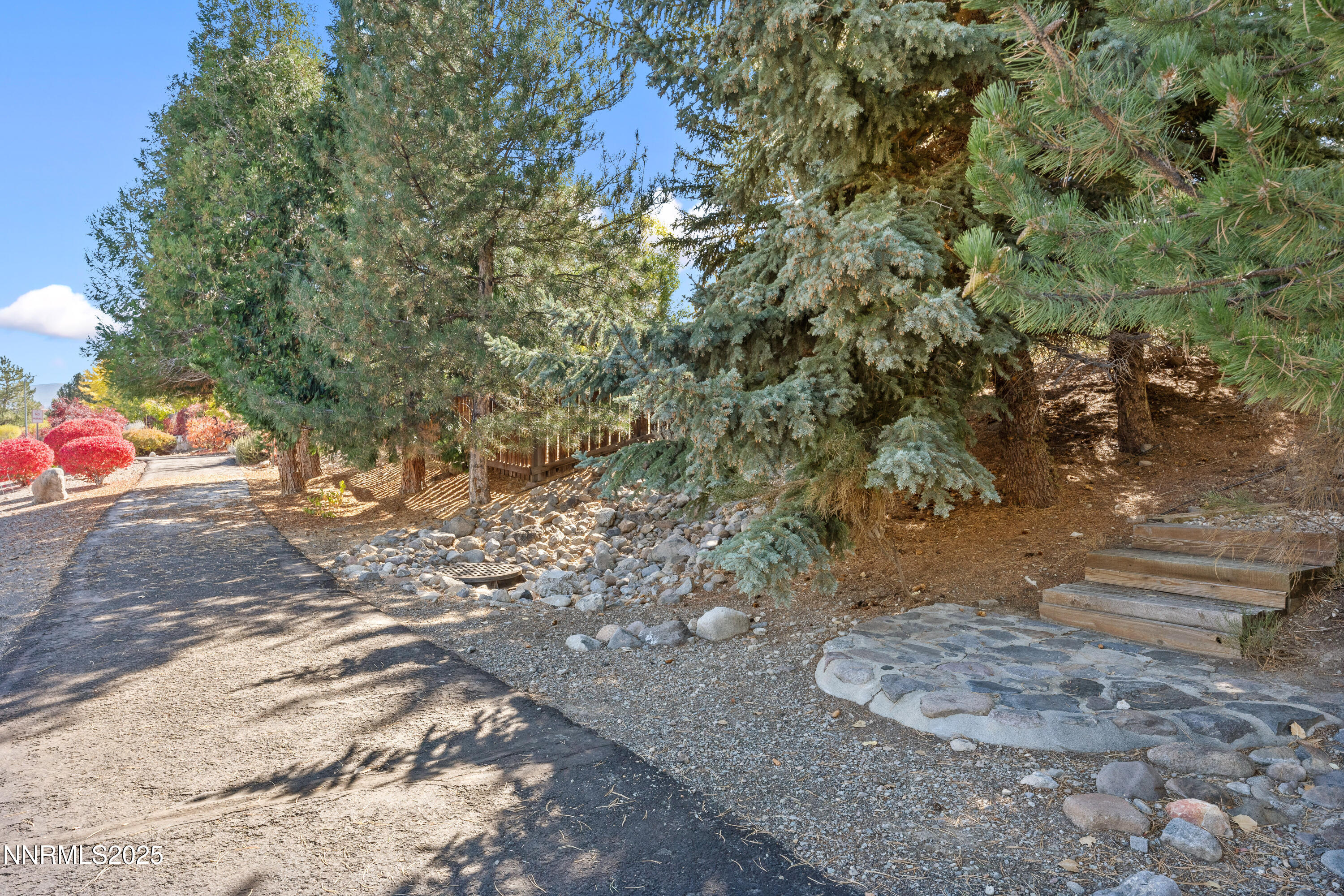 4991 West Albuquerque Road Reno, NV 89511 - Photo 47 of 60 a view of a yard with plants and trees