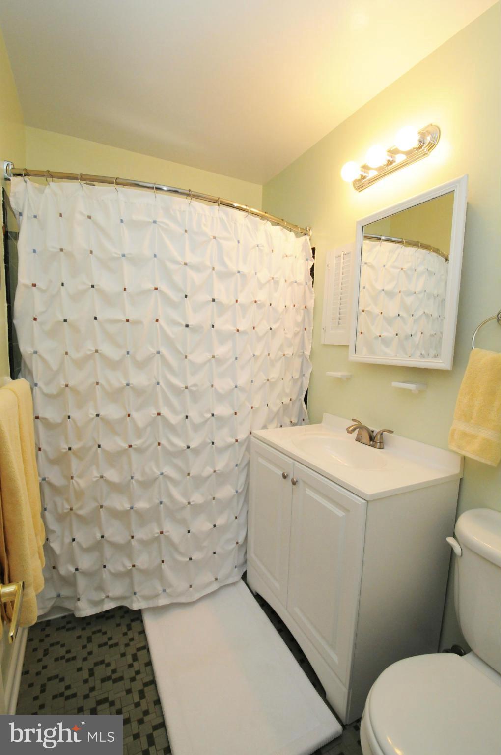 6313 Beryl Road Alexandria, VA 22312 - Photo 23 of 30 a bathroom with a sink a toilet and shower
