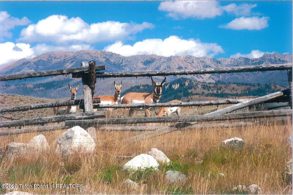 41 Marsh Creek Road Cora, WY 82925 - Photo 51 of 53 Pronghorn 2