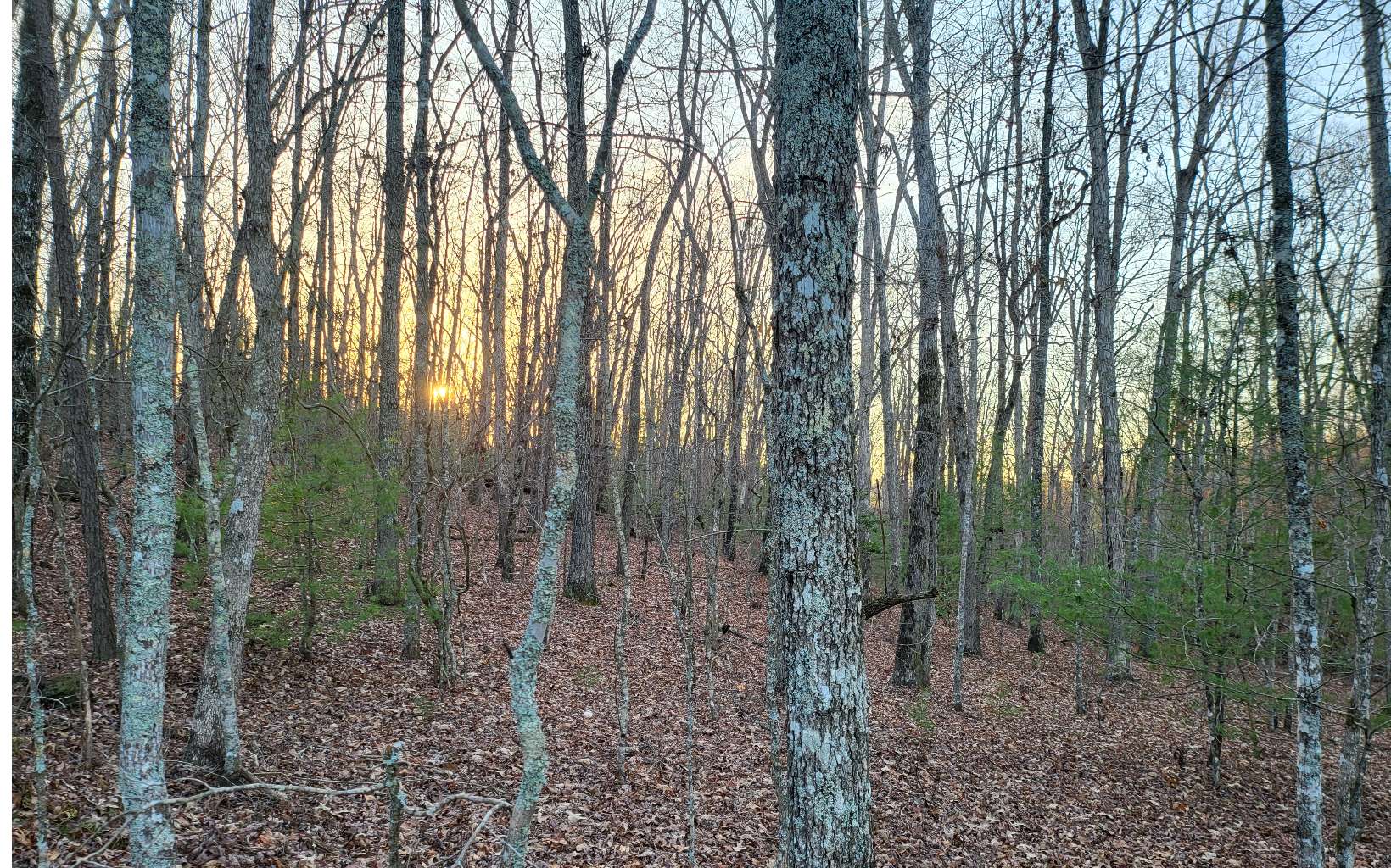 45-acs New Hope Road Morganton, GA 30560 - Photo 11 of 72 Additional View