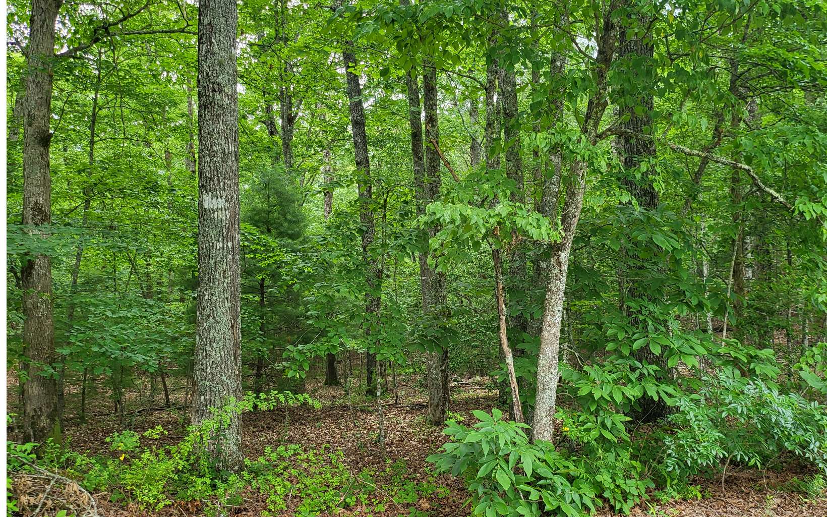 45-acs New Hope Road Morganton, GA 30560 - Photo 19 of 72 Additional View