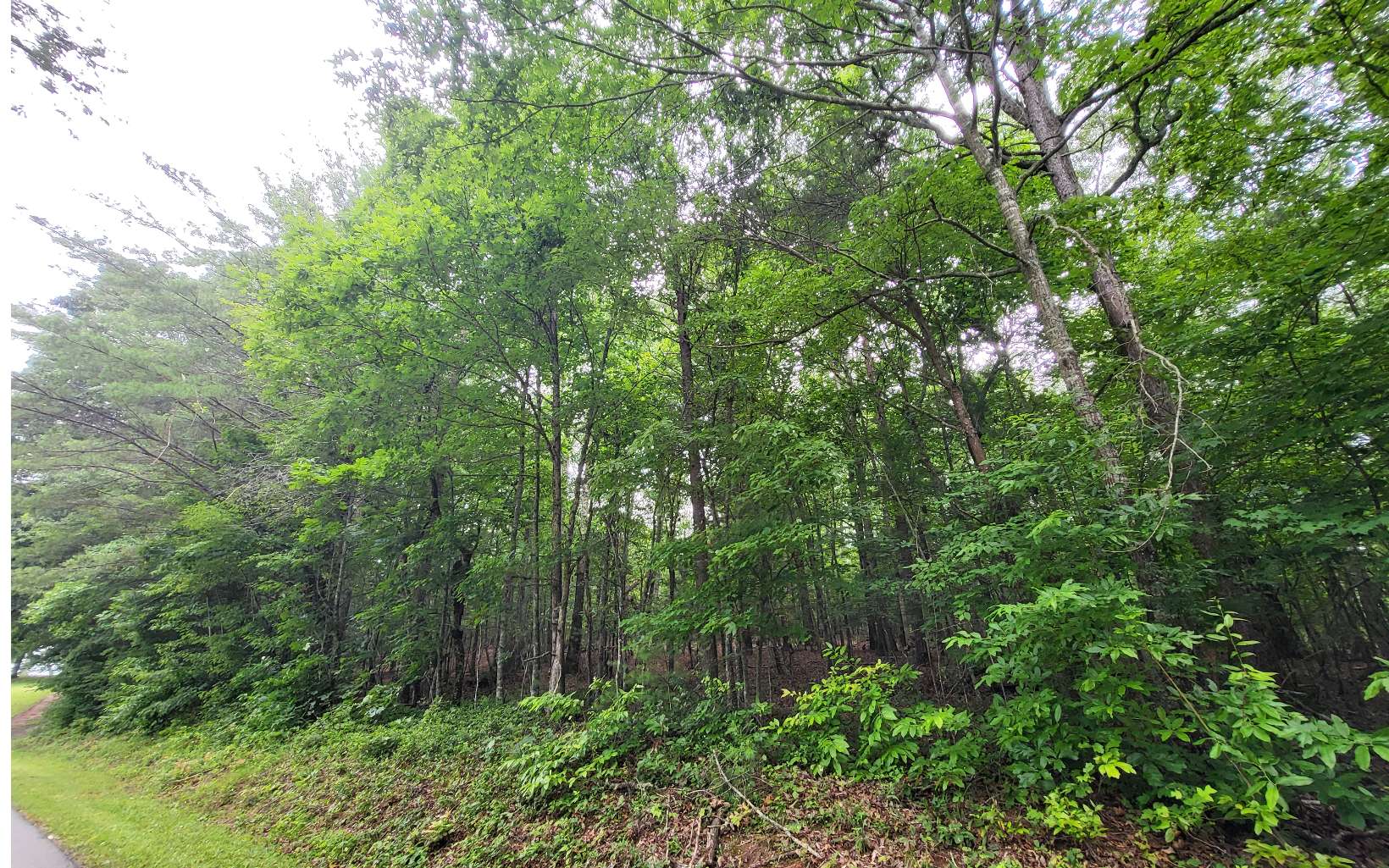 45-acs New Hope Road Morganton, GA 30560 - Photo 3 of 72 Additional View