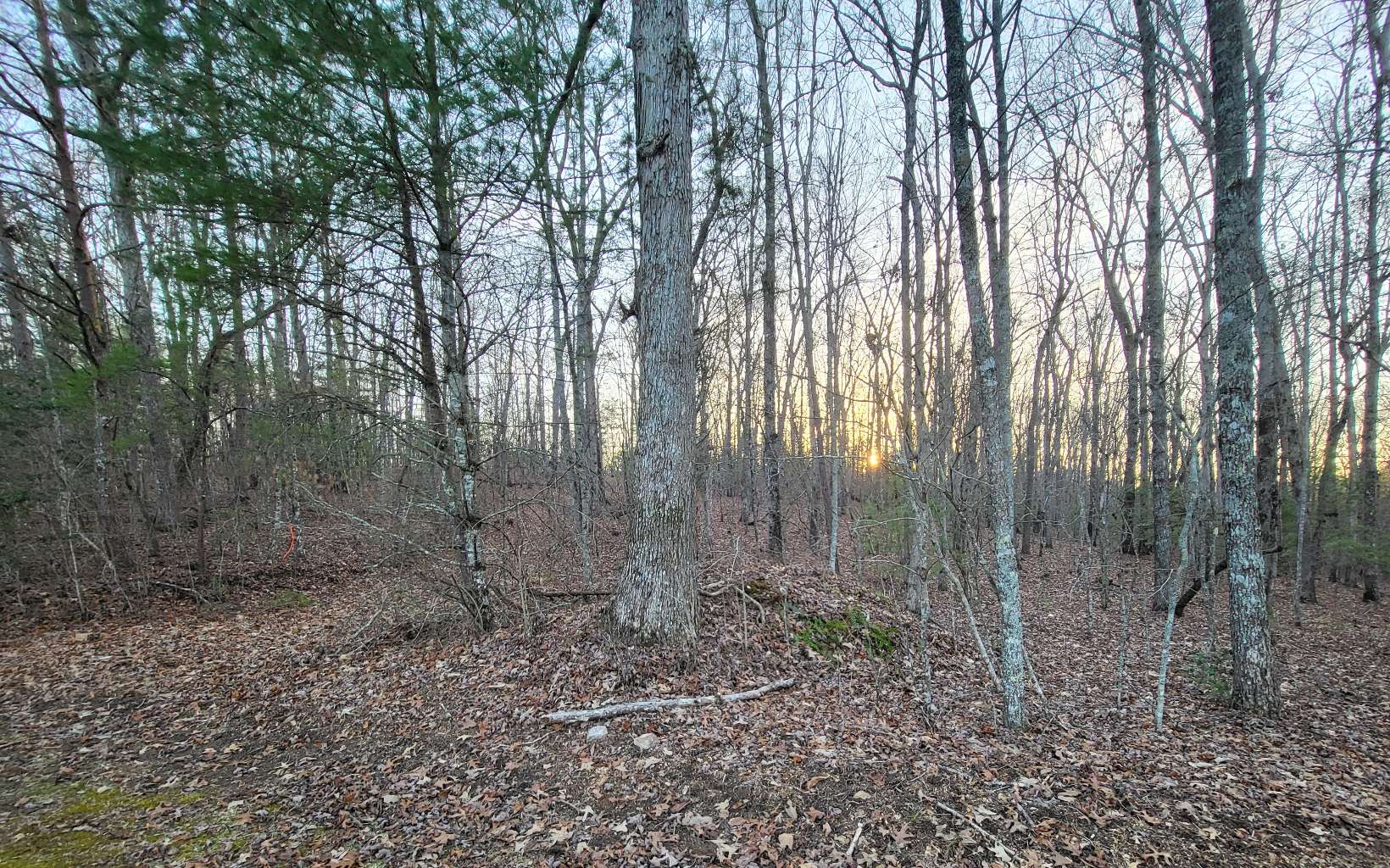 45-acs New Hope Road Morganton, GA 30560 - Photo 34 of 72 Additional View