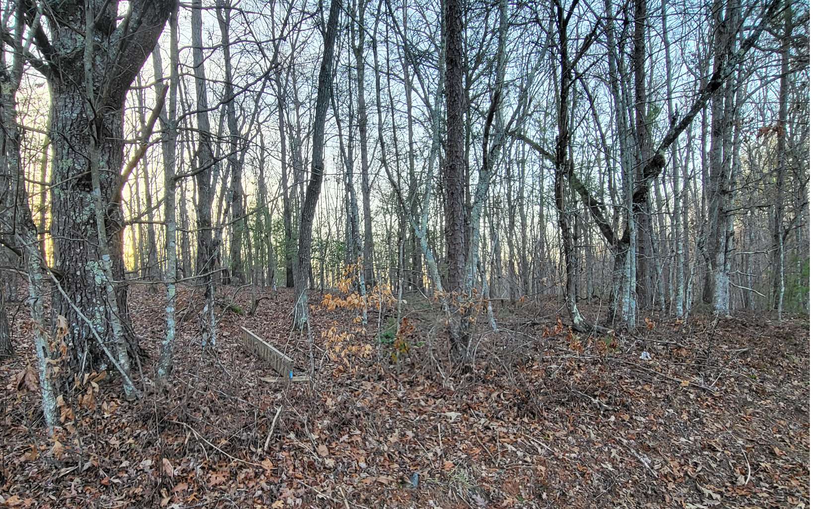 45-acs New Hope Road Morganton, GA 30560 - Photo 38 of 72 Additional View