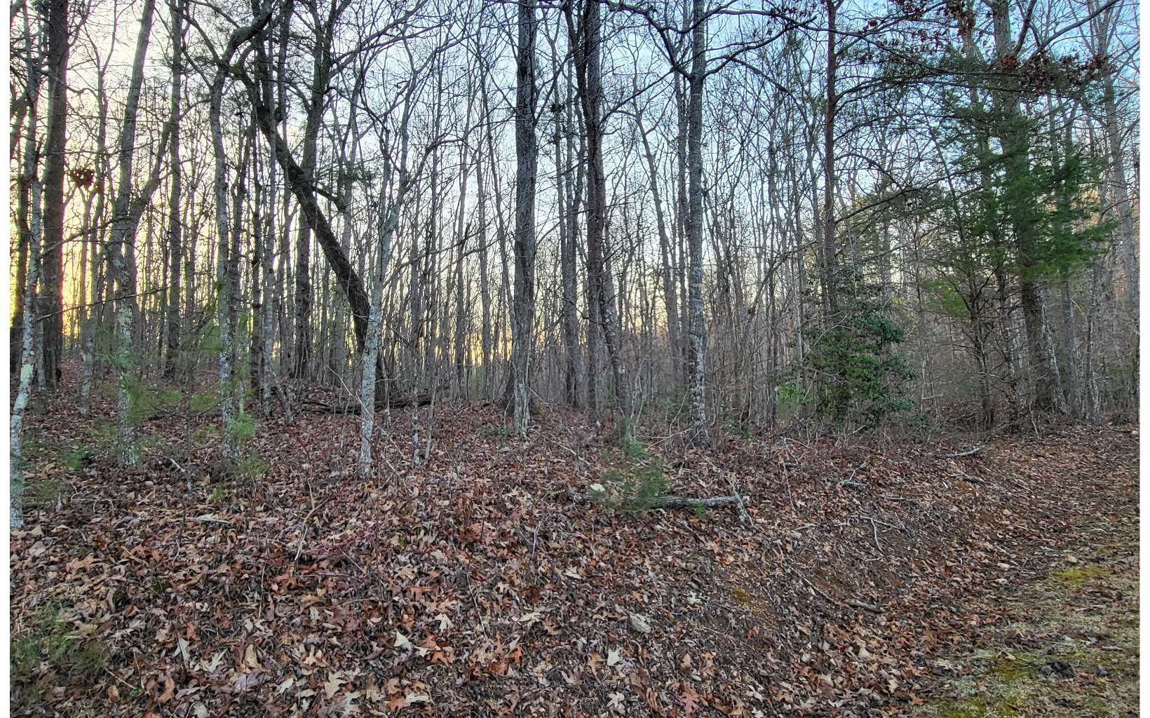 45-acs New Hope Road Morganton, GA 30560 - Photo 46 of 72 Additional View