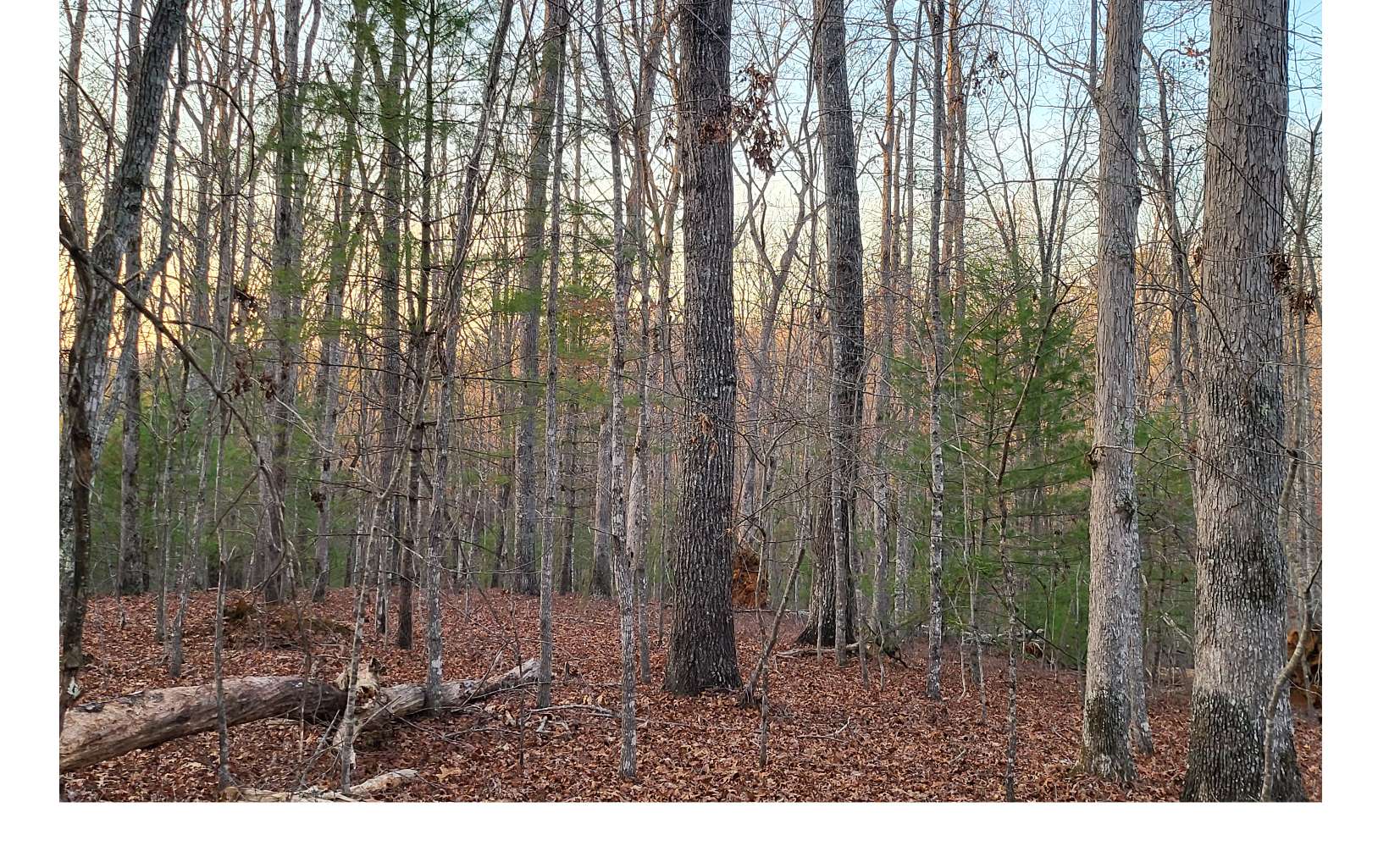 45-acs New Hope Road Morganton, GA 30560 - Photo 50 of 72 Additional View