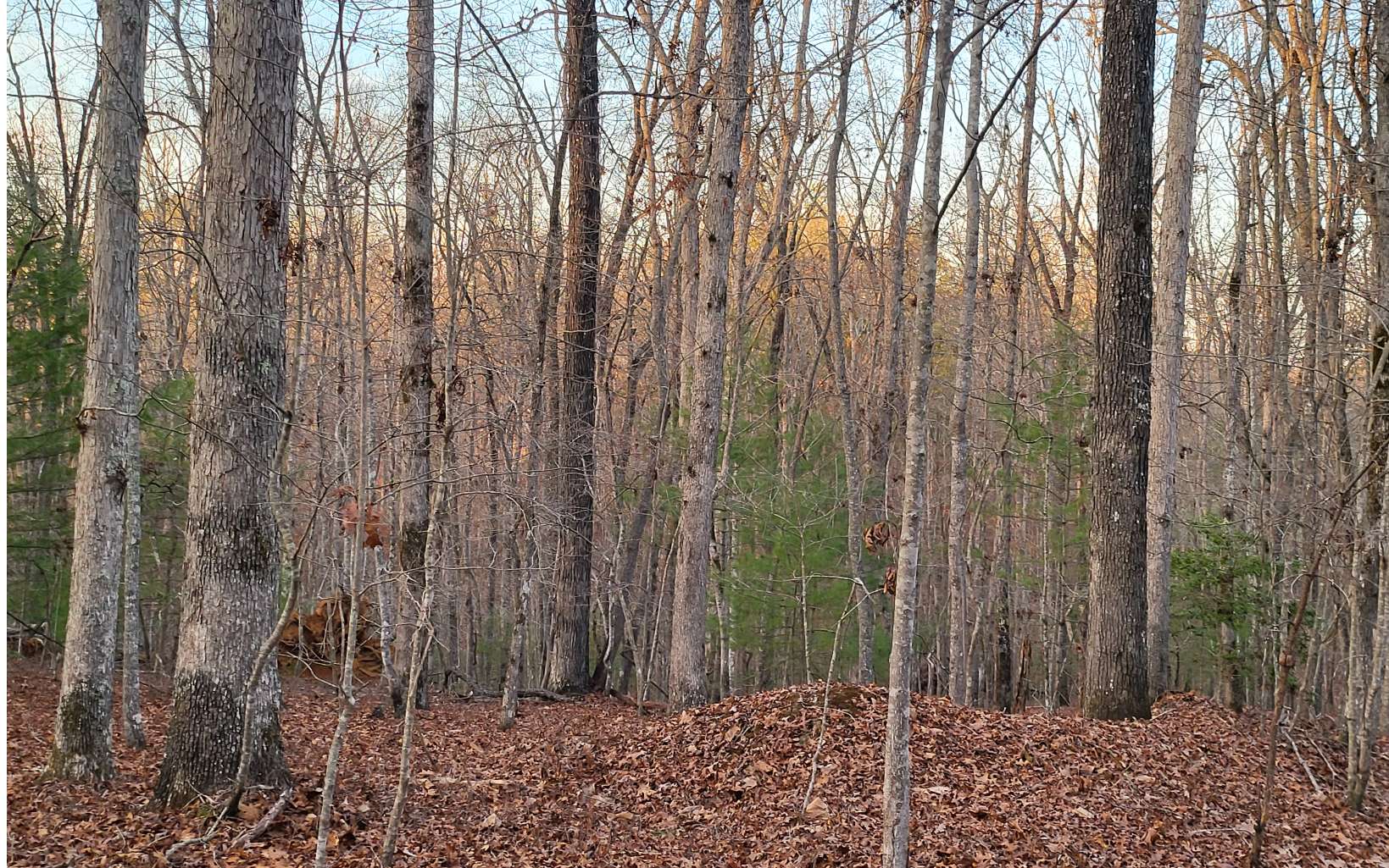 45-acs New Hope Road Morganton, GA 30560 - Photo 51 of 72 Additional View