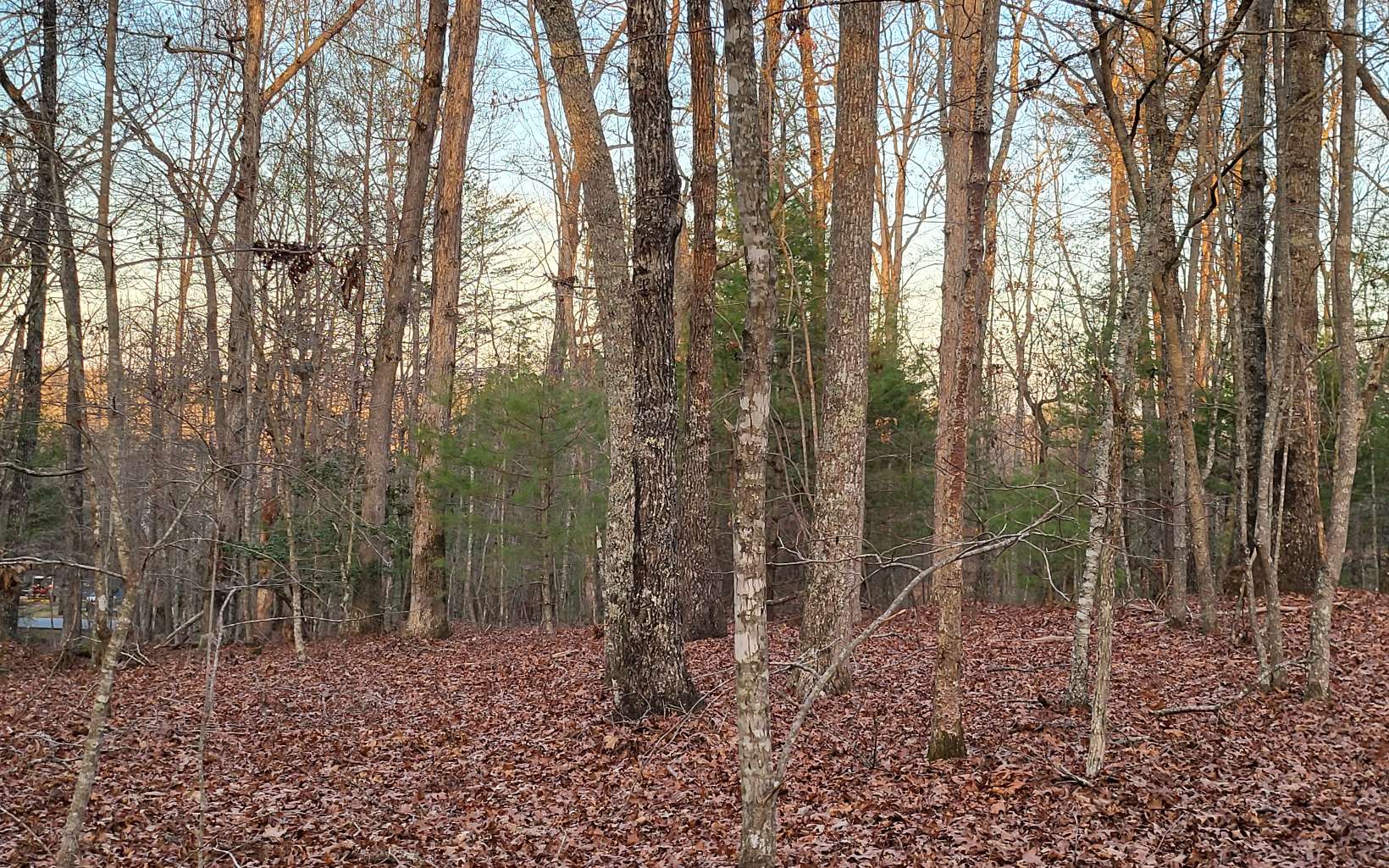 45-acs New Hope Road Morganton, GA 30560 - Photo 54 of 72 Additional View