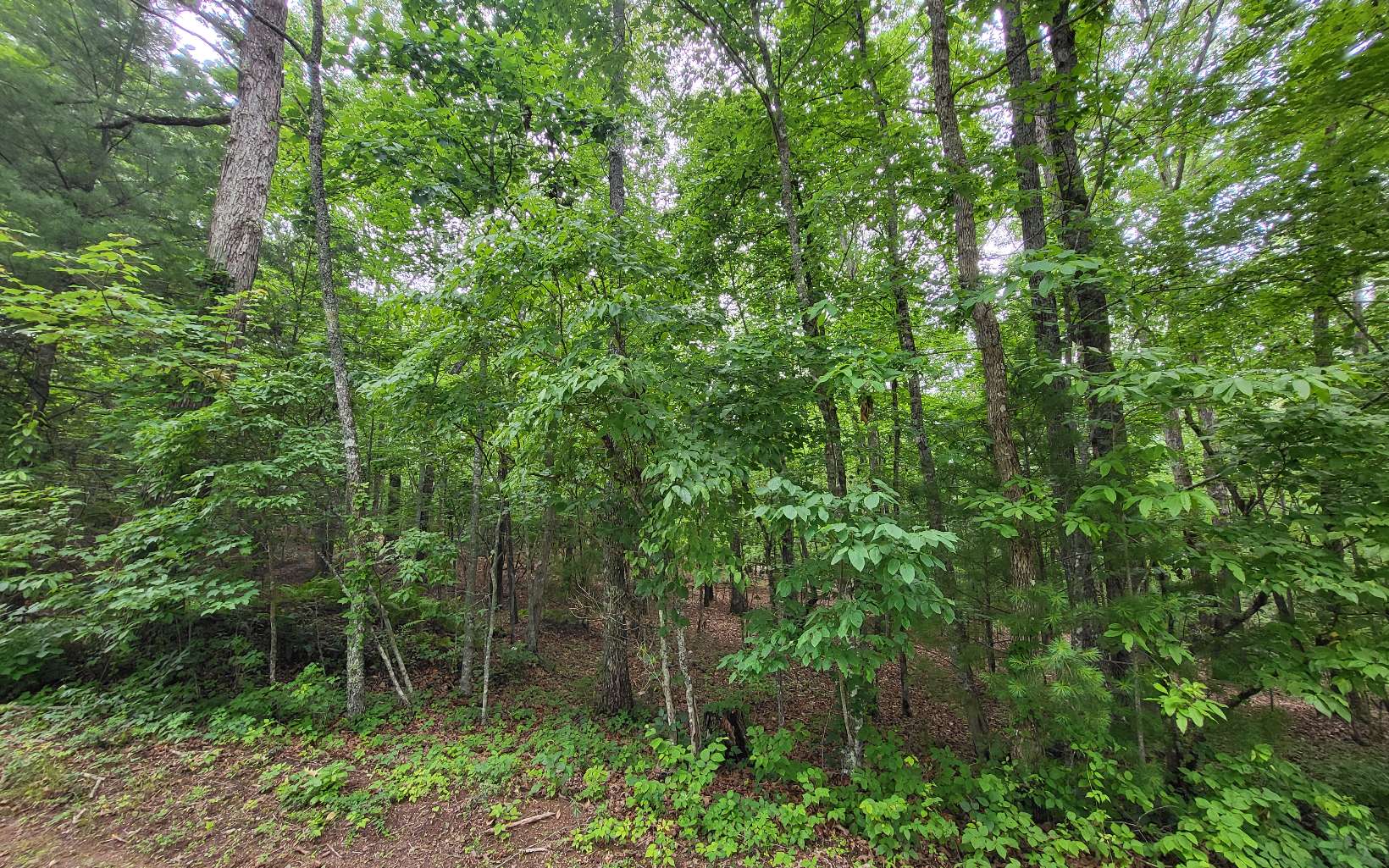 45-acs New Hope Road Morganton, GA 30560 - Photo 63 of 72 Additional View