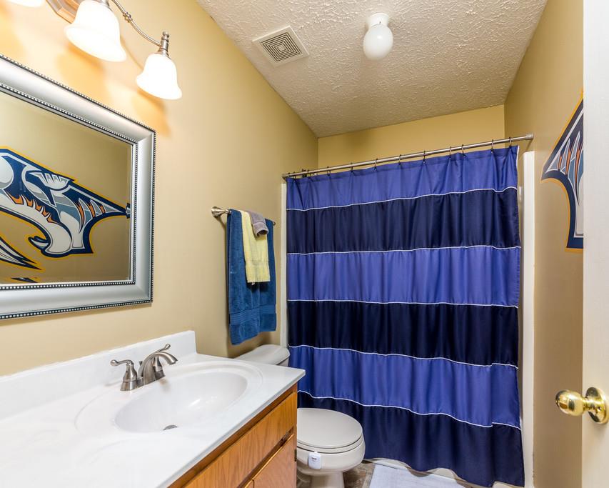 4212 Station Road Cunningham, TN 37052 - Photo 20 of 29 a bathroom with a sink a toilet and a mirror