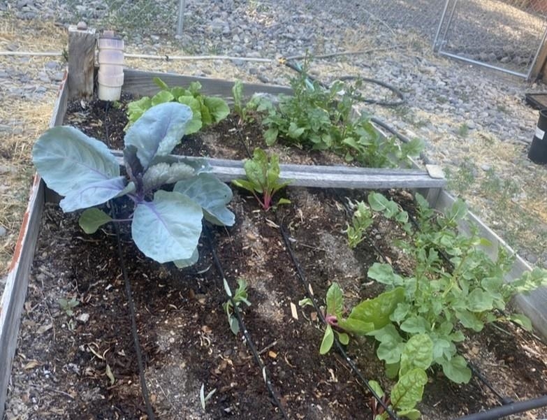 608 Bluff Street Delta, CO 81416 - Photo 42 of 42 a view of outdoor space and yard