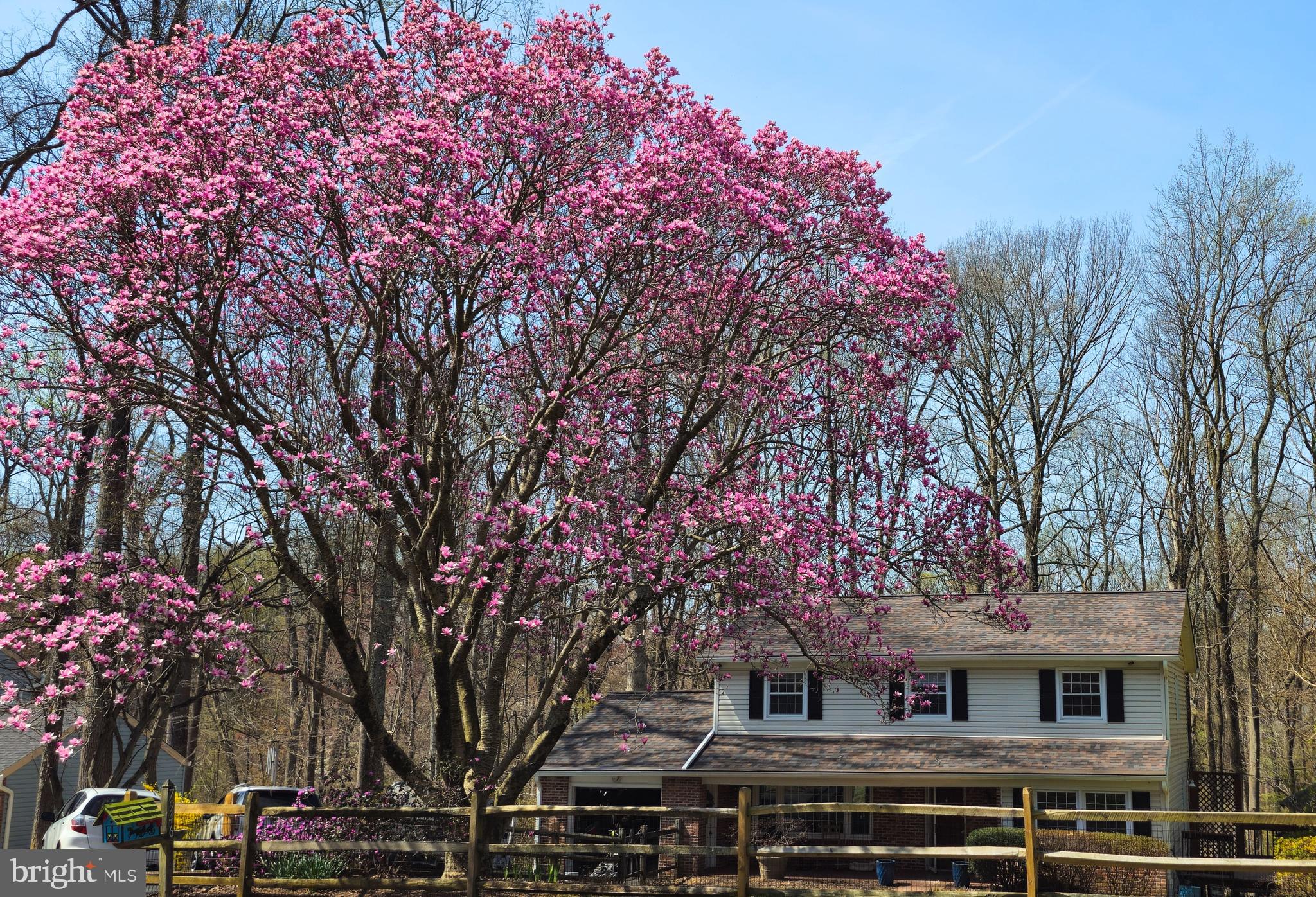 7946 Helmart Drive Laurel, MD 20723 - Photo 3 of 12 Magnificent!