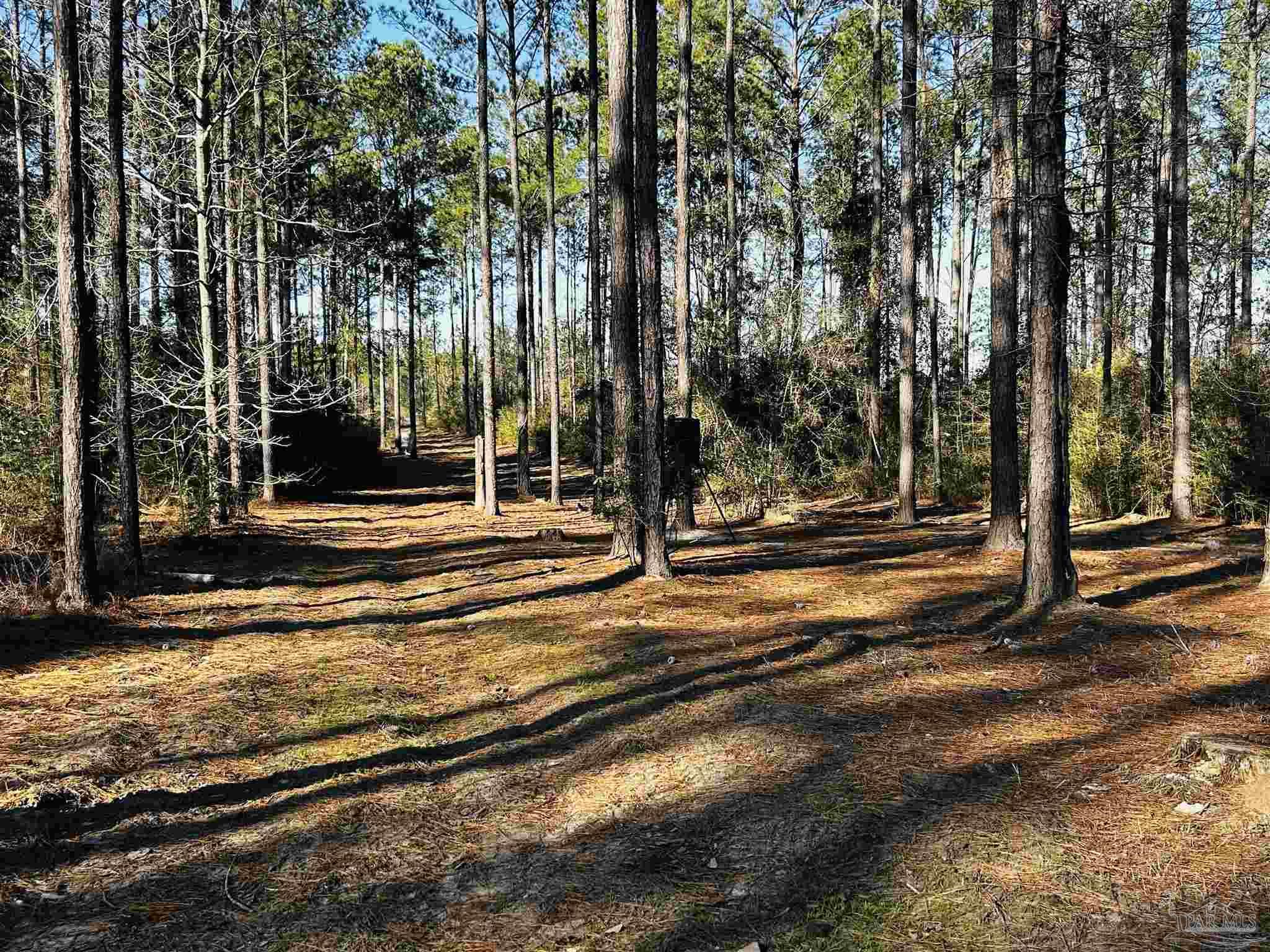 Lot 406 Country Mill Road Jay, FL 32565 - Photo 1 of 10