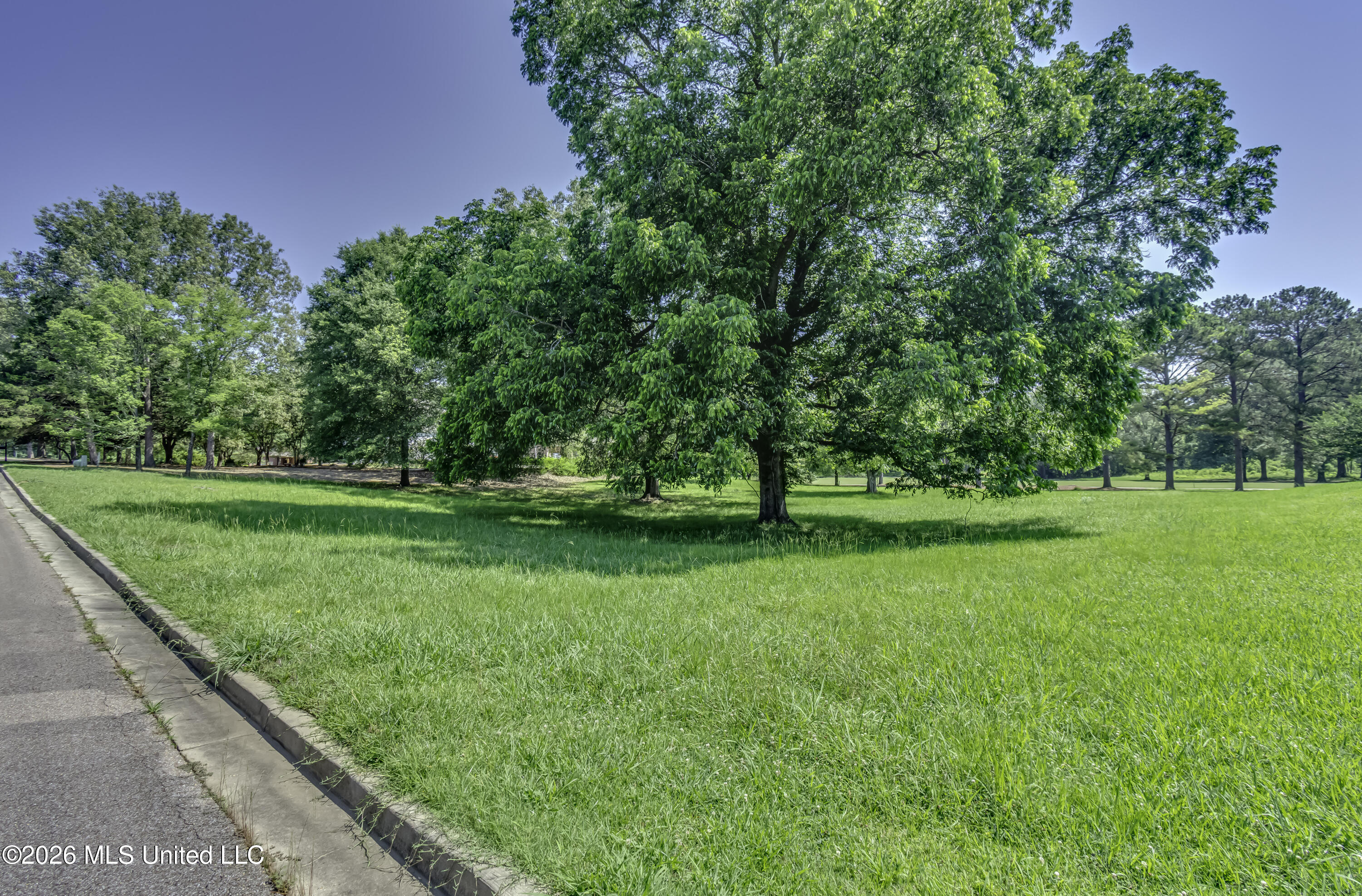 147 Southern Ridge Drive Madison, MS 39110 - Photo 3 of 23 Lot 147 Southern Ridge Dr -