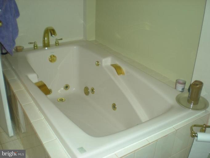 657 Cattail Run Road Charles Town, WV 25414 - Photo 25 of 30 Master Bath