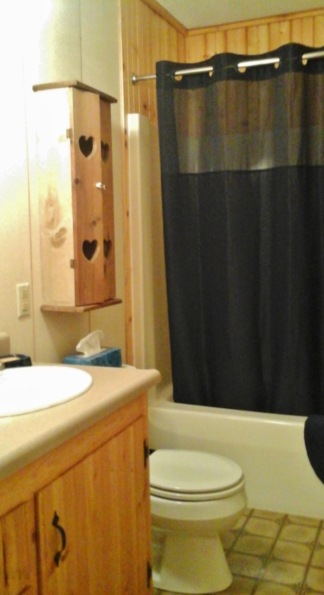 8139 Dan Smith Road Watervliet, MI 49098 - Photo 42 of 94 20160817_115443