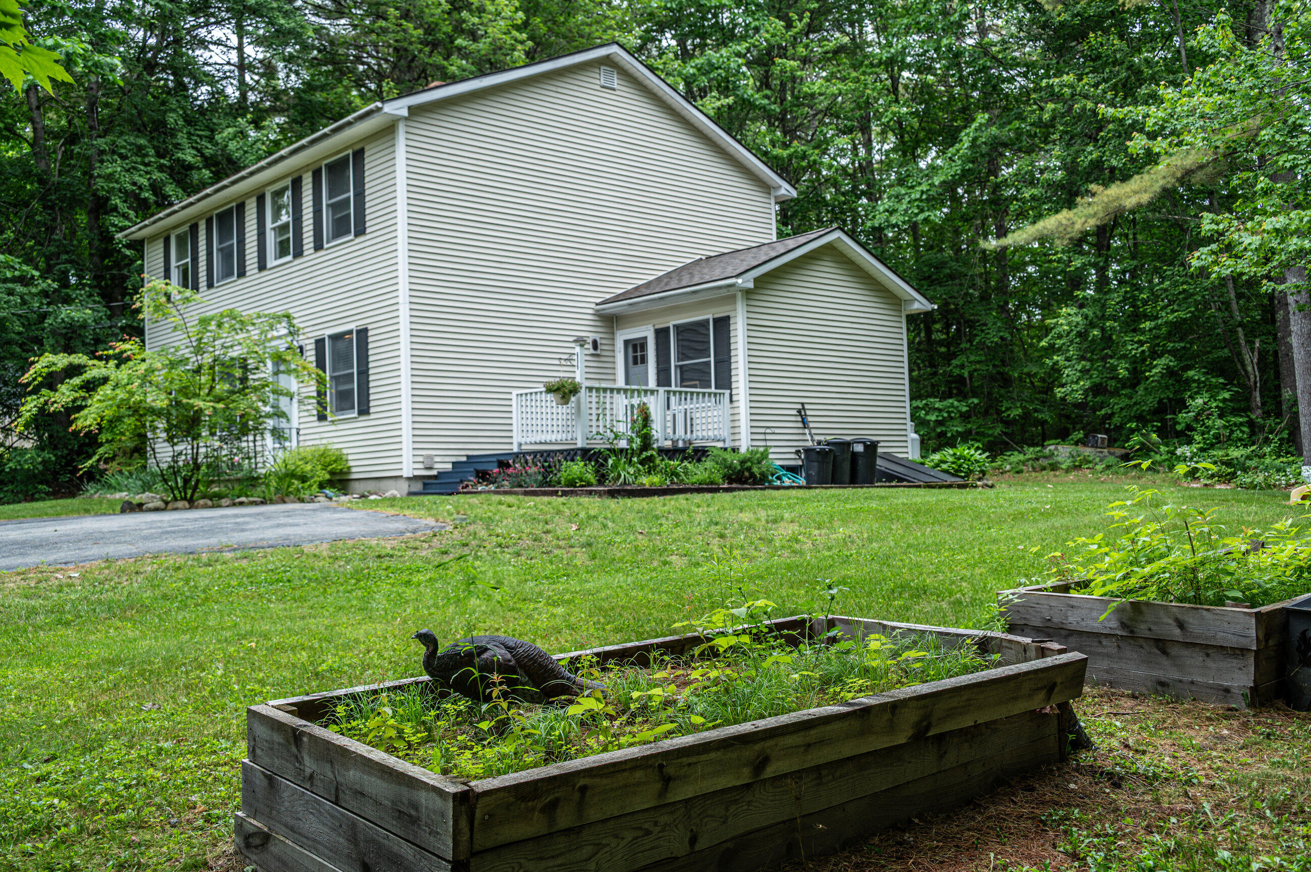 11 Monroe Drive Naples, ME 04055 - Photo 4 of 46 Exterior-9613