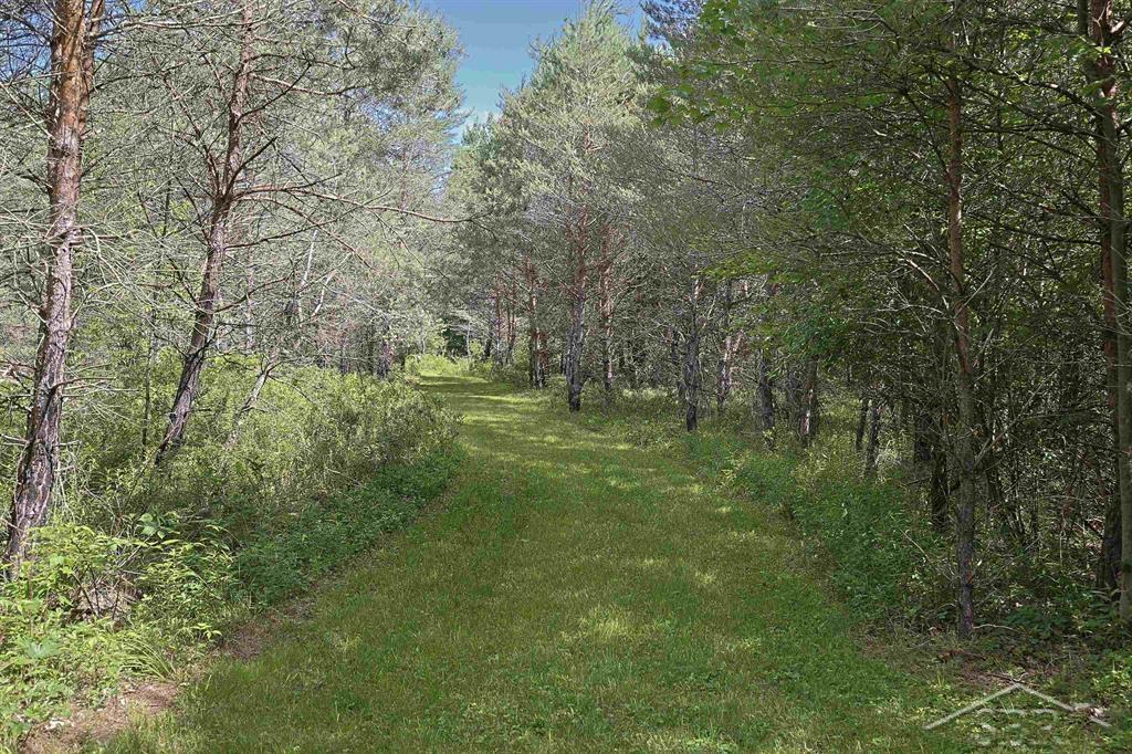 2202 West Huckleberry Road Sanford, MI 48657 - Photo 47 of 64