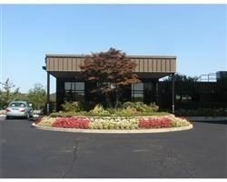 40 Village Road, Unit 309 Middleton, MA 01949 - Photo 10 of 22 a palm tree sitting in front of a house