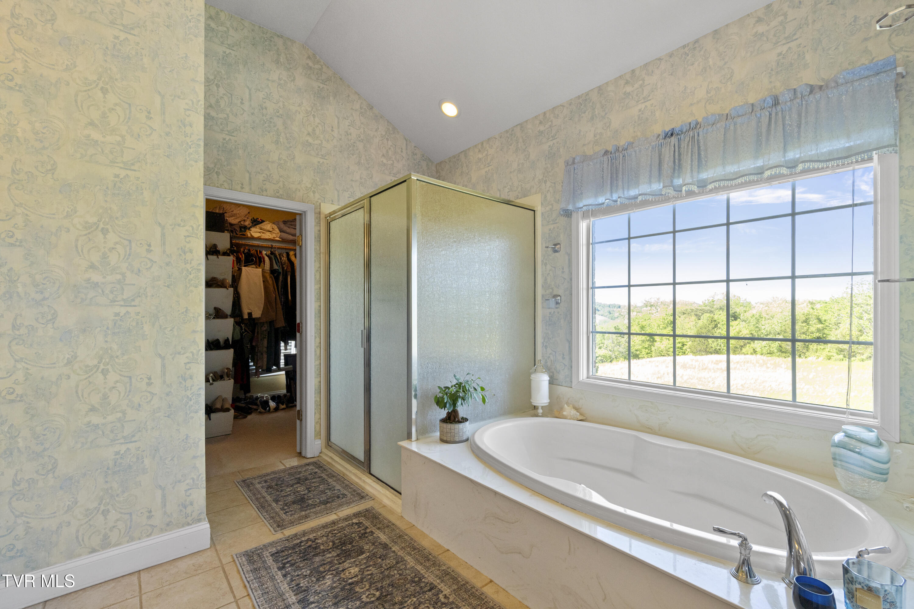 1625 Lick Hollow Road Greeneville, TN 37743 - Photo 38 of 70 DSC08129