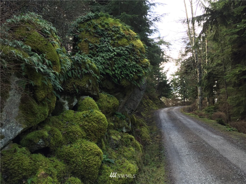0 Hidden Rdg Trail Orcas Island, WA 98245 - Photo 11 of 18 Gallery Image 11