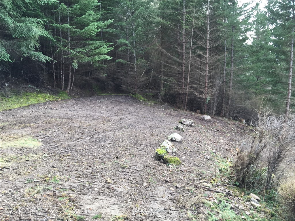 0 Hidden Rdg Trail Orcas Island, WA 98245 - Photo 15 of 18 Gallery Image 15