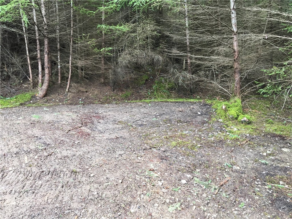 0 Hidden Rdg Trail Orcas Island, WA 98245 - Photo 16 of 18 Gallery Image 16