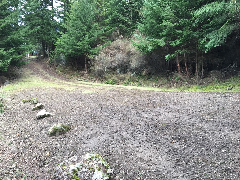 0 Hidden Rdg Trail Orcas Island, WA 98245 - Photo 17 of 18 Gallery Image 17