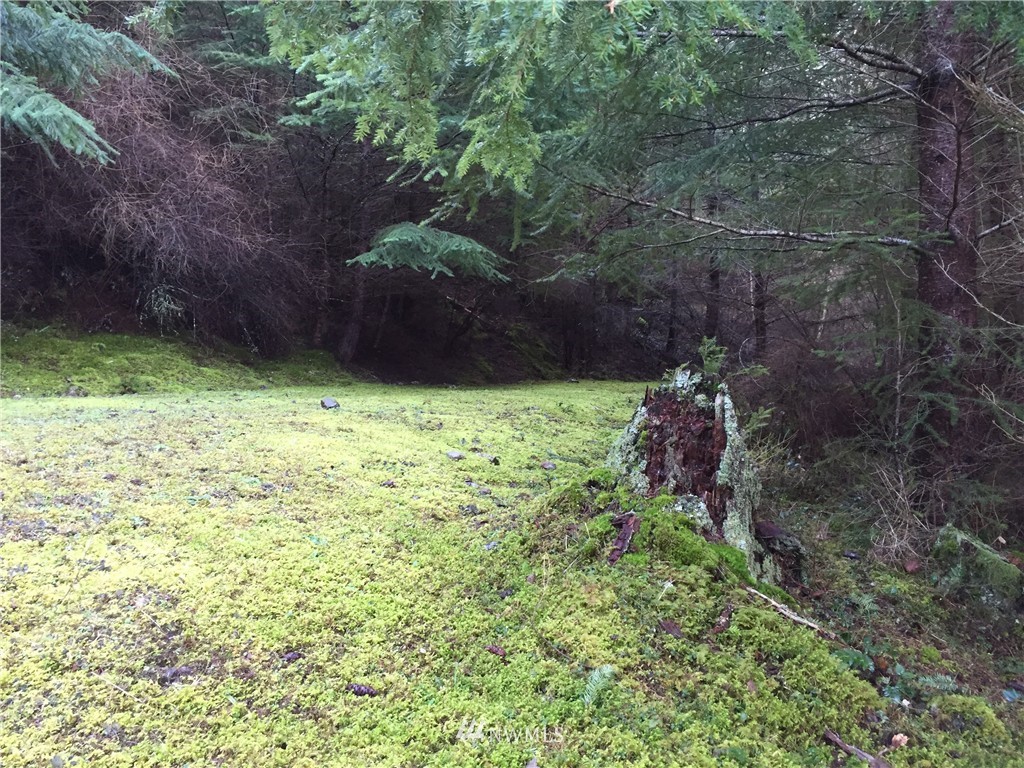 0 Hidden Rdg Trail Orcas Island, WA 98245 - Photo 18 of 18 Gallery Image 18