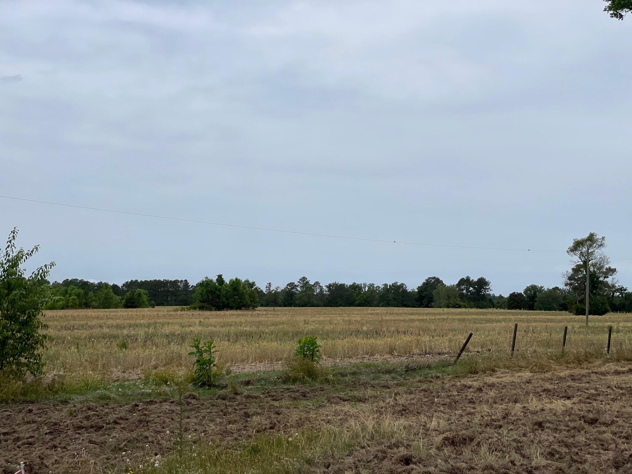 Tbd Blackville Road Gaston, SC 29053 - Photo 3 of 5