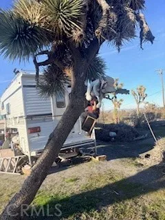 a view of a backyard of a house