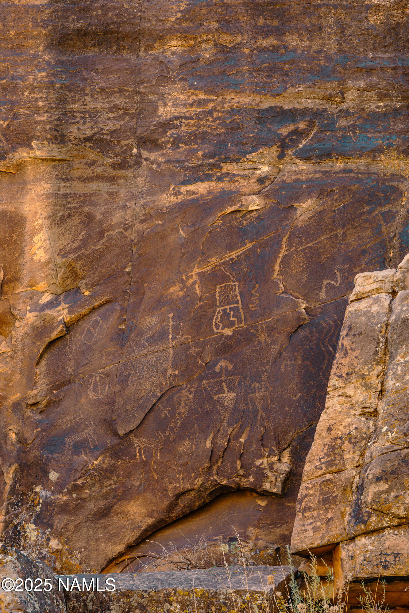 0 Bell Cow Rd Aka Rock Art Ranch Road Winslow, AZ 86047 - Photo 12 of 64 12