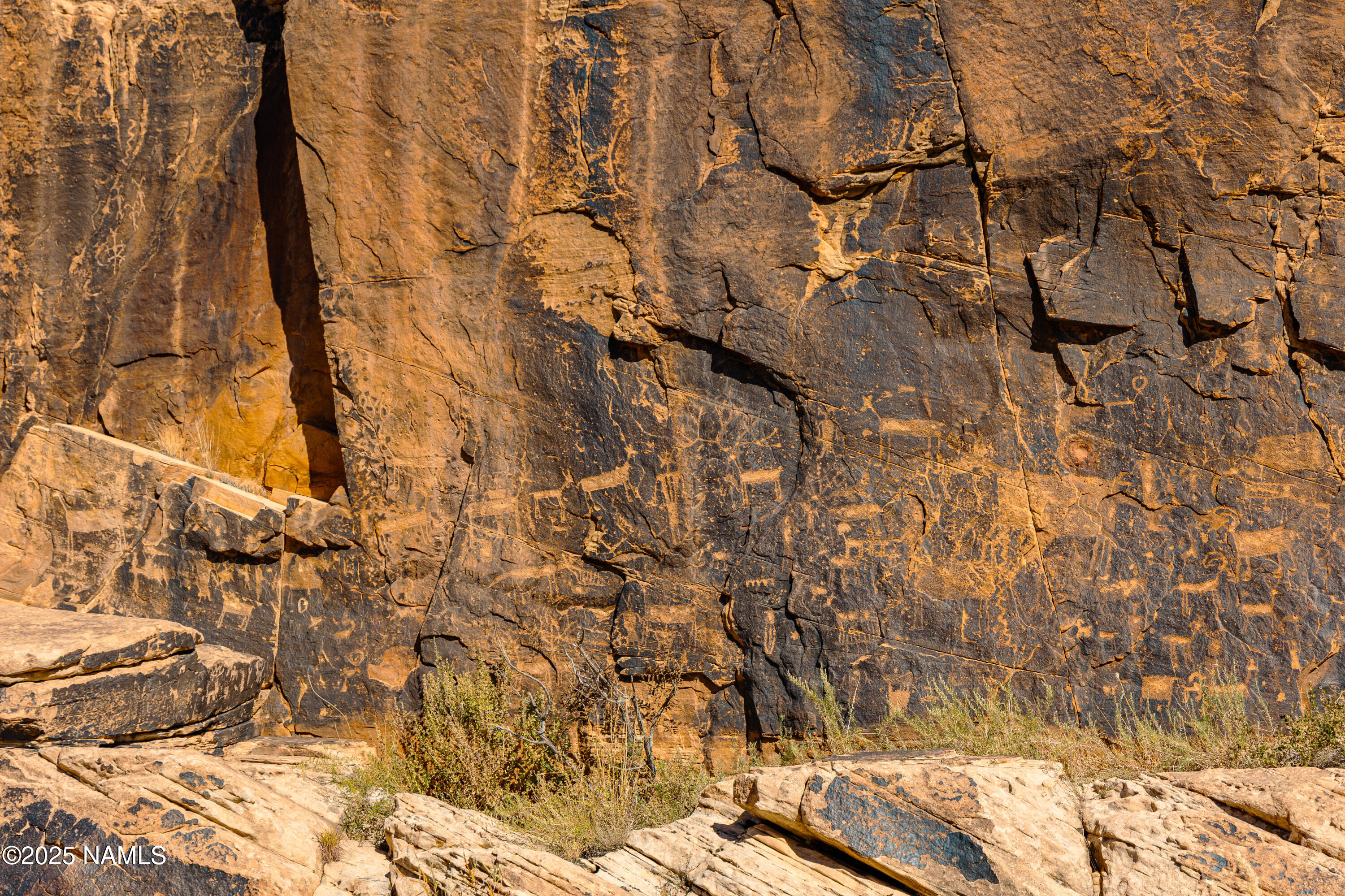 0 Bell Cow Rd Aka Rock Art Ranch Road Winslow, AZ 86047 - Photo 18 of 64 18