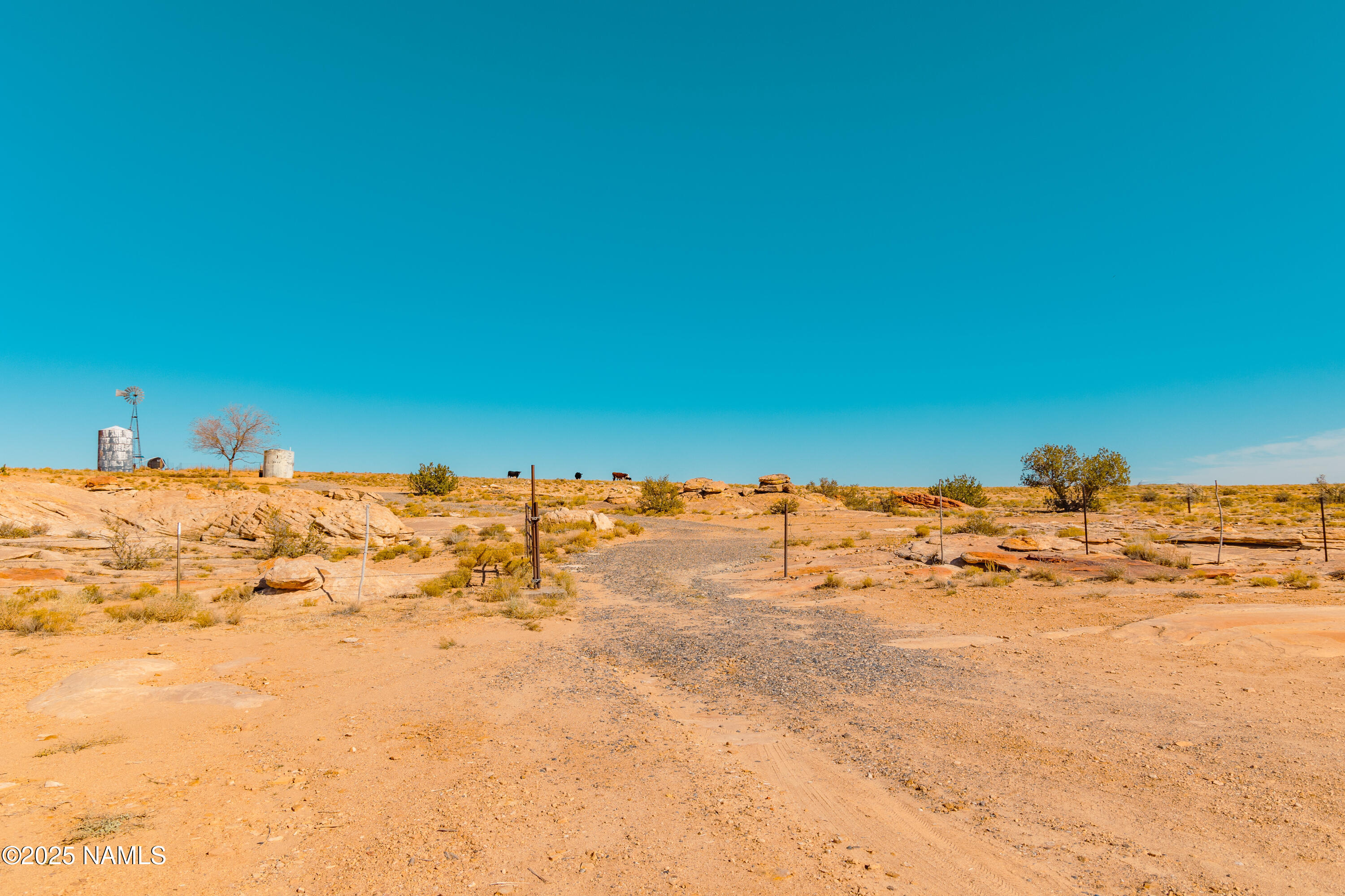 0 Bell Cow Rd Aka Rock Art Ranch Road Winslow, AZ 86047 - Photo 41 of 64 54