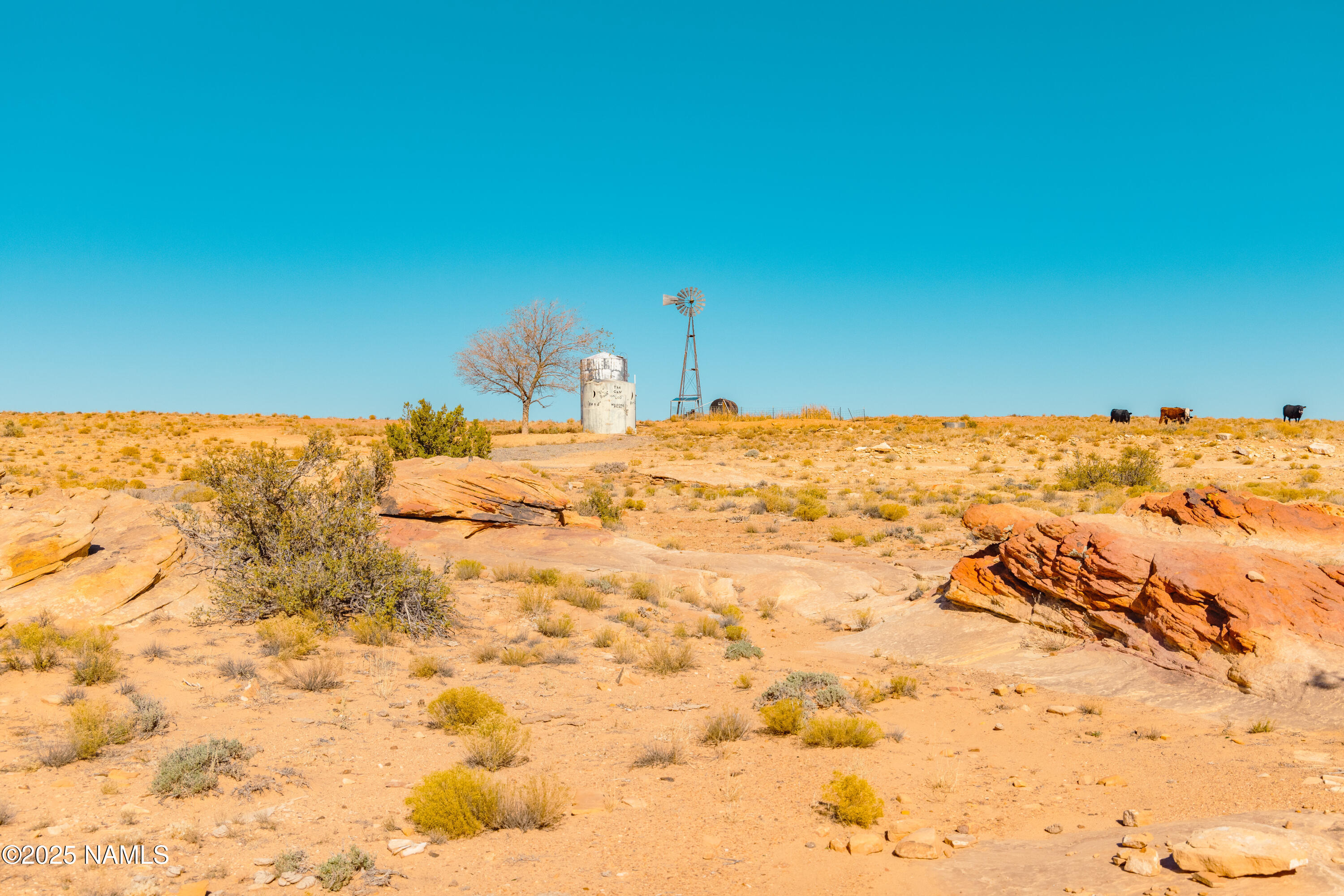 0 Bell Cow Rd Aka Rock Art Ranch Road Winslow, AZ 86047 - Photo 44 of 64 51