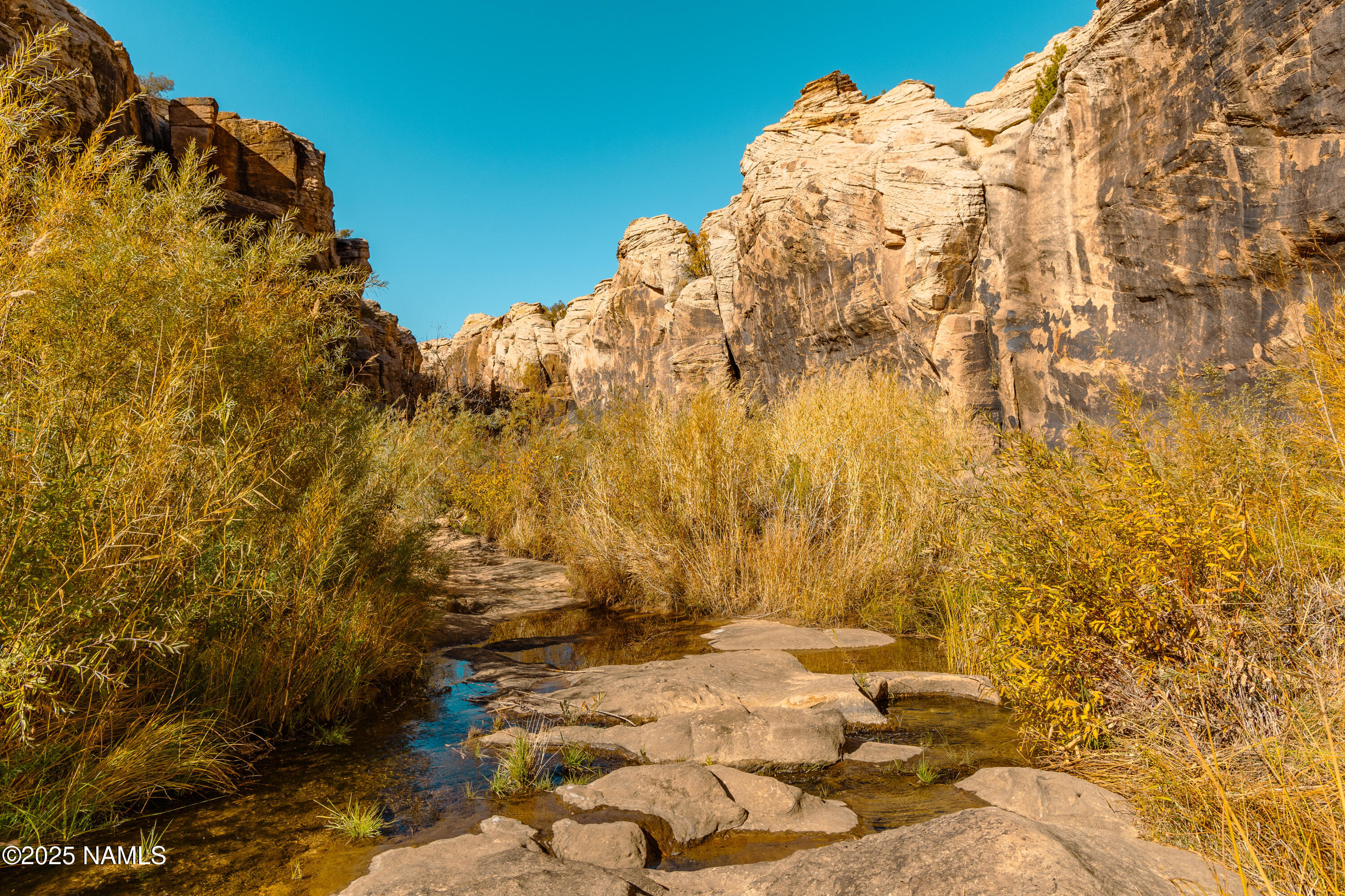 0 Bell Cow Rd Aka Rock Art Ranch Road Winslow, AZ 86047 - Photo 6 of 64 6