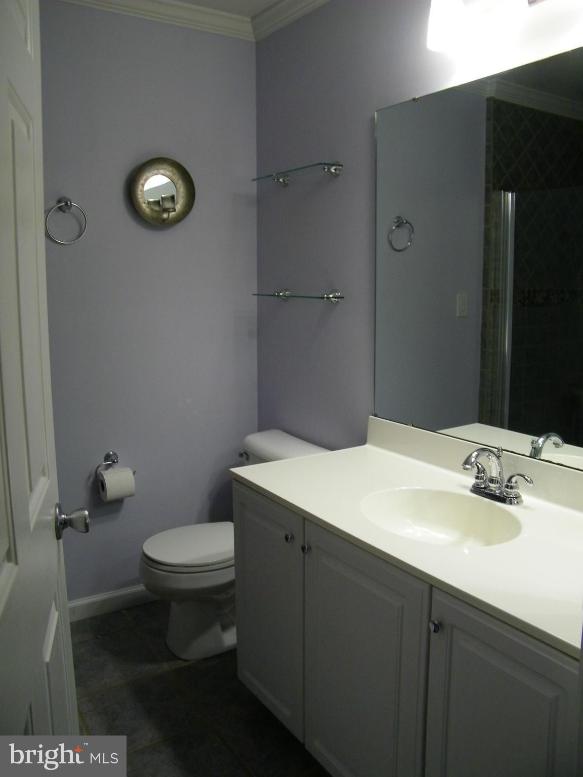 19958 Fieldgrass Square Ashburn, VA 20147 - Photo 8 of 14 Bath (Master)