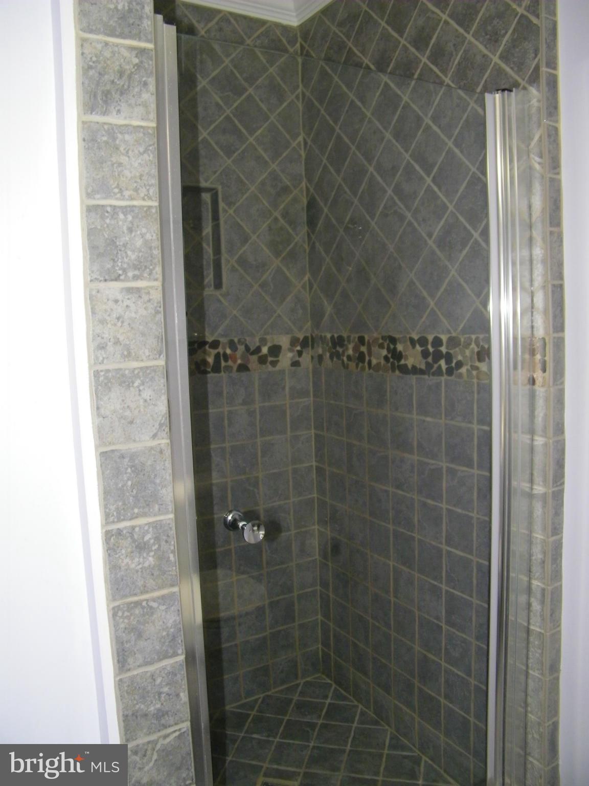 19958 Fieldgrass Square Ashburn, VA 20147 - Photo 9 of 14 Bath (Master)